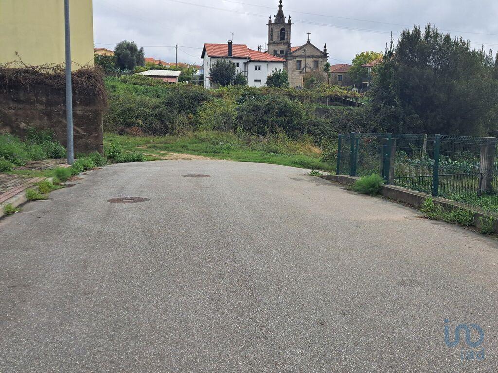 Tierra en el Braga, Vila Verde