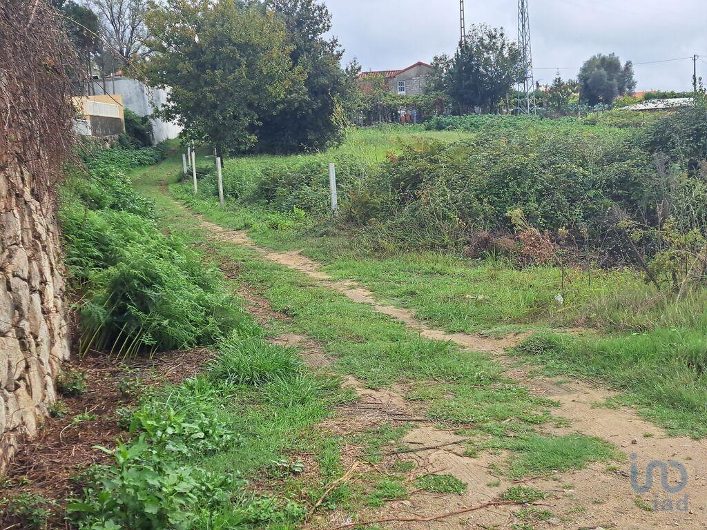 Tierra en el Braga, Vila Verde