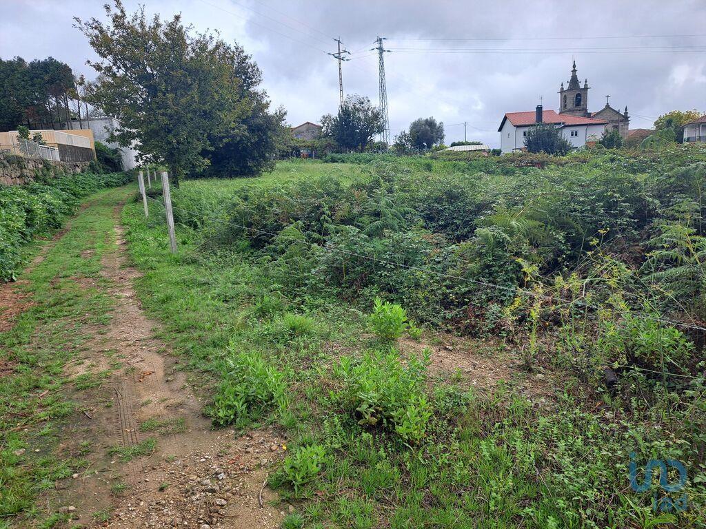Tierra en el Braga, Vila Verde