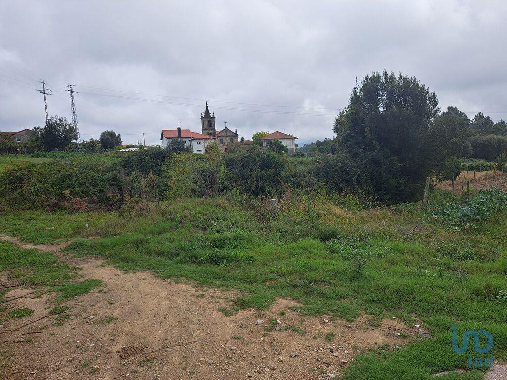 Tierra en el Braga, Vila Verde