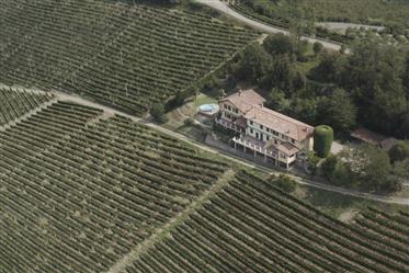 Casă luminoasă terasată cu 5,5 camere, cu piscină în Mango, Piemonte (It)