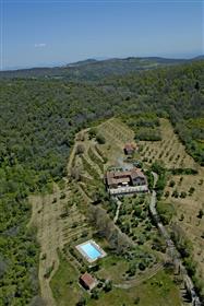 Manor House with Total Privacy and Panoramic View