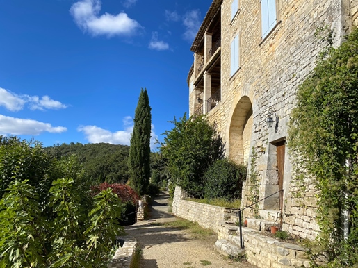 Céze valley, impressive 360m2 property, built on ramparts of a listed medieval village, land and vie