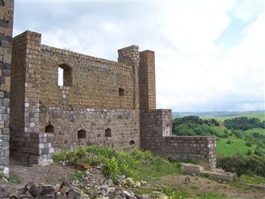 Remains of medieval castle with 35 hectars and building permit