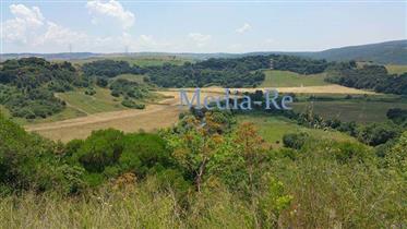 Agricutural land with building license in Tuscania