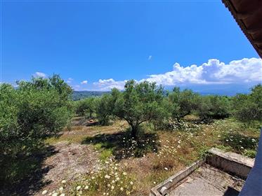 Villa à Kalyves dans une grande oliveraie