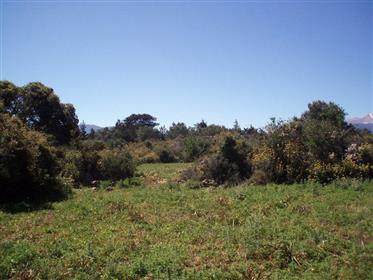 Hania for sale, large land in Drapanos