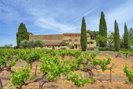 Drôme provençale - Mas avec vignes