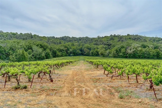 Drôme Provençale – Ein reizvolles historisches Anwesen mit Weinbergen