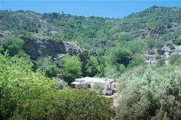 Maison écologique sur Permacultural terrain dans la Sierra Nevada (Granada)
