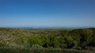 Ononderbroken panoramisch uitzicht op de Ebro Delta