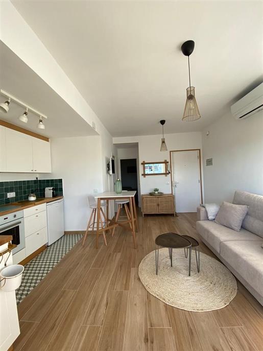 Renovated apartment with canal views, with parking and mooring.