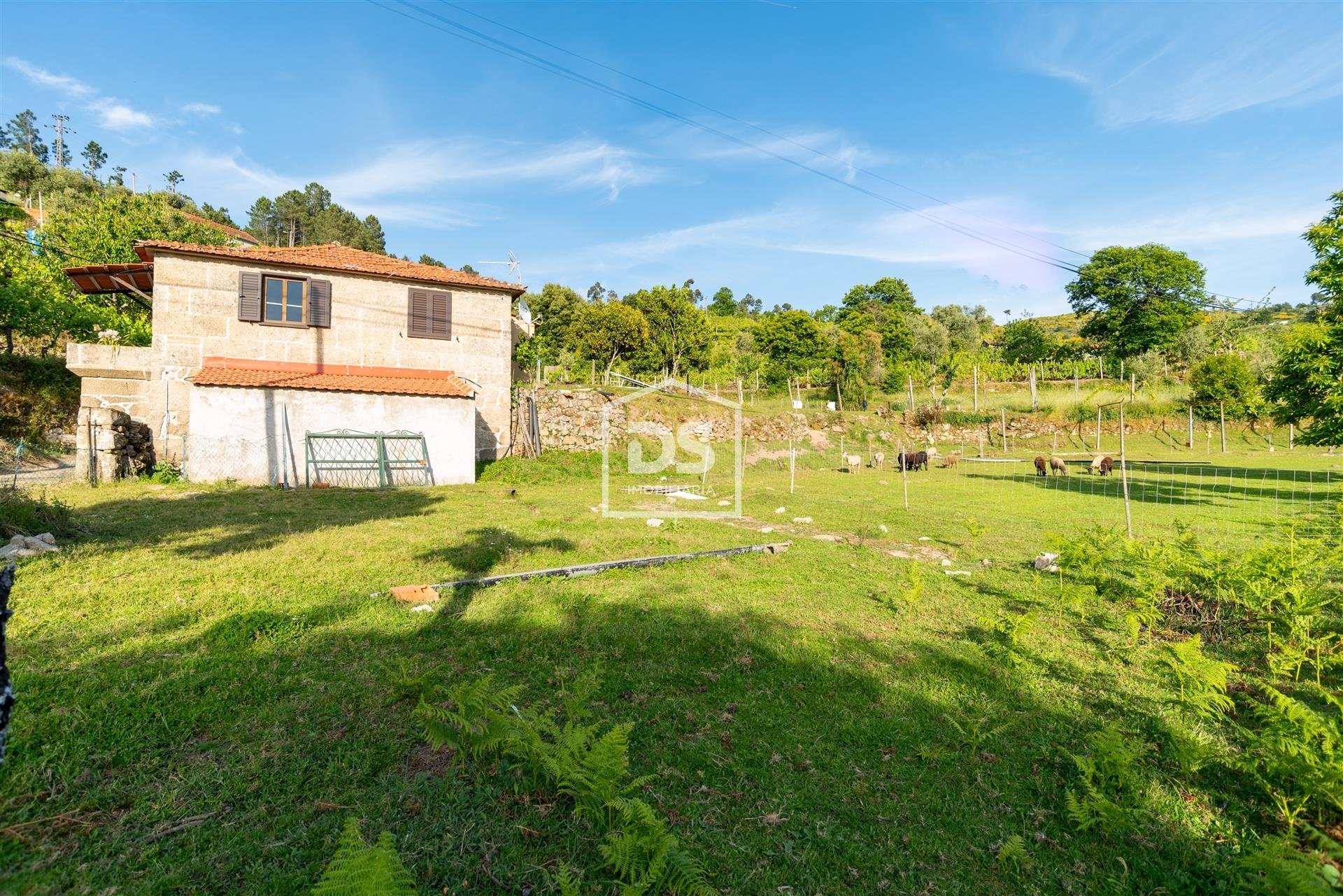 House T3 Sell in Ferreiros de Tendais,Cinfães
