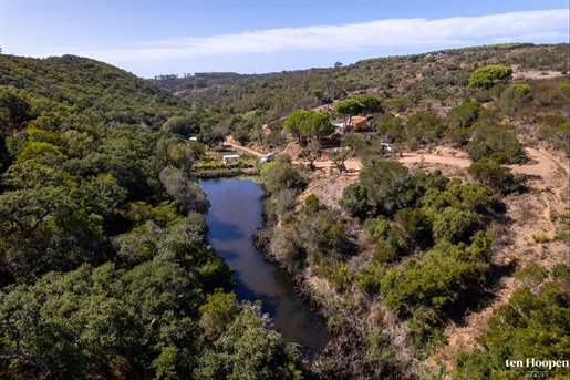 Countryside Oasis: Large Land with Lake and Cork Trees