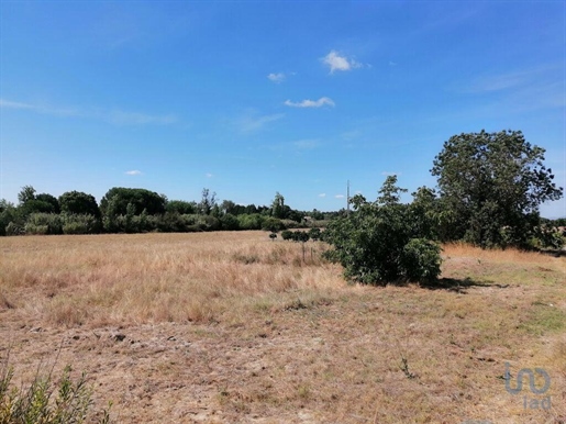 Ground in Setúbal with 24750,00 m²