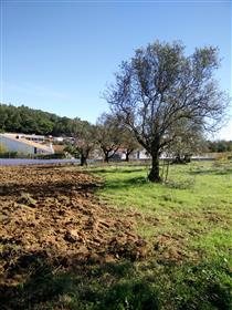 Земя с 1560 м2 жизнеспособността на строителство спокойно село Алто da Serra