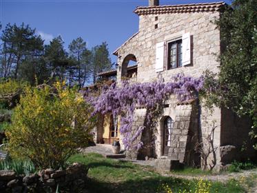 Mas Provençal Cévennes steen