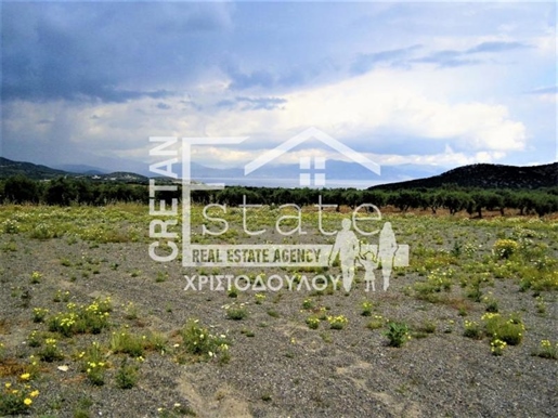 Agricultural, 1300 sq, for sale