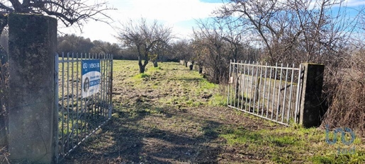 Agricultural Land in Três Povos