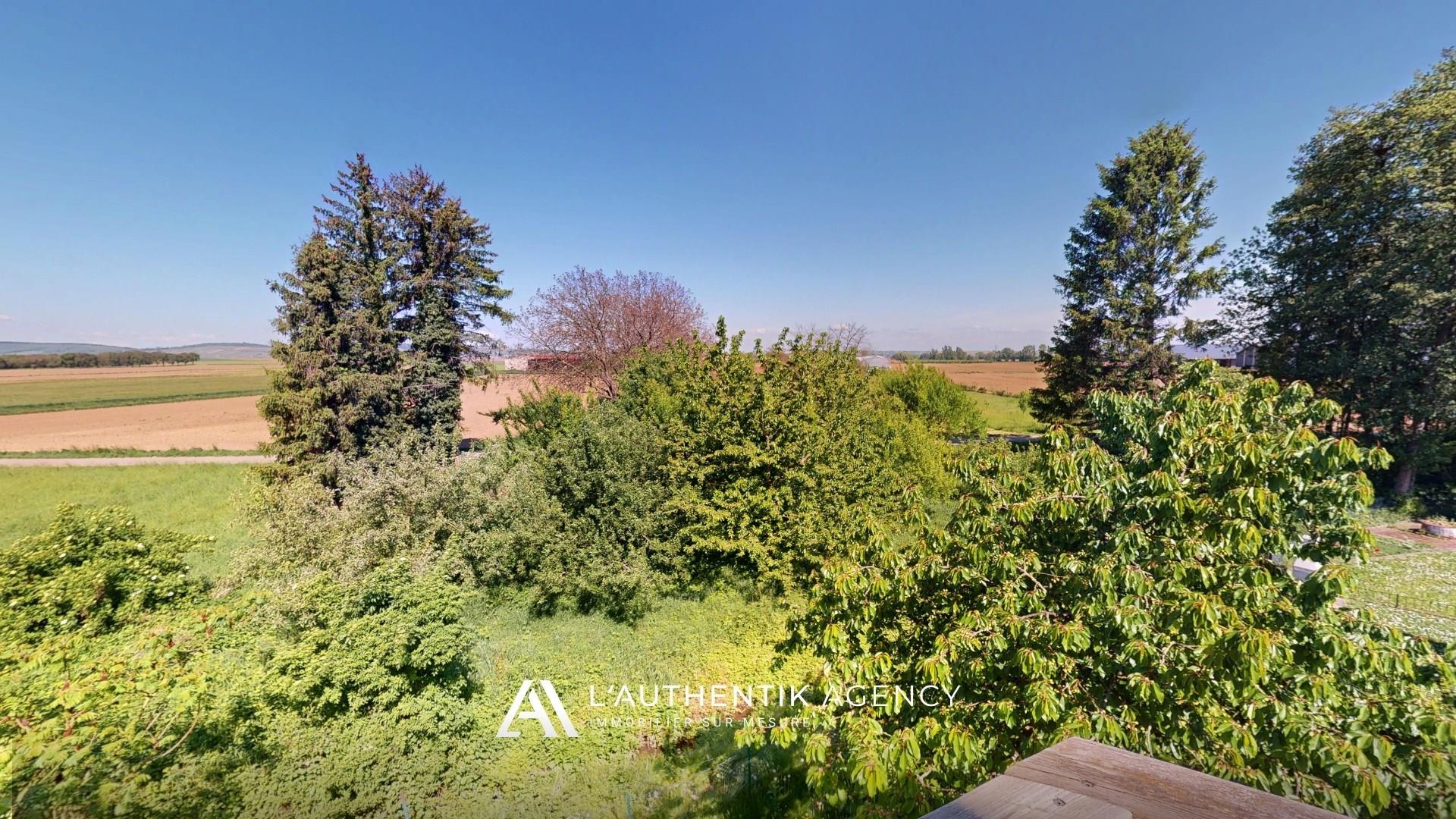 Compra: Apartamento (67117)