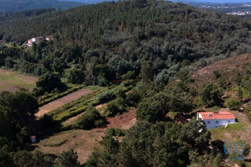 Quinto en el Coimbra, Tábua