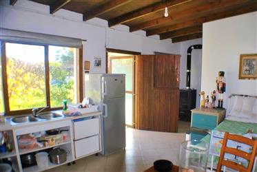  Detached Cottage with Lovely Garden - East Crete
