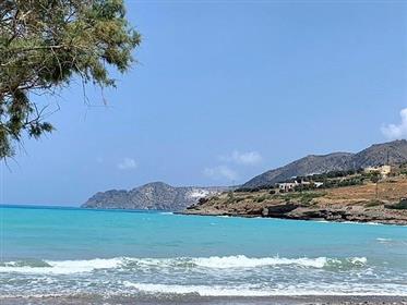 Well Presented and Spacious House and Annexe - East Crete