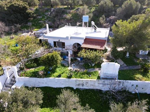  Maison individuelle de 2 chambres. Jardin privé - Crète orientale