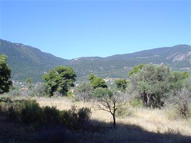 Terreno in vendita In Grecia Schinos Korinthias