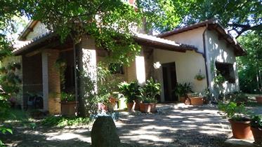 Härliga lantliga hus i 8 km från Orvieto