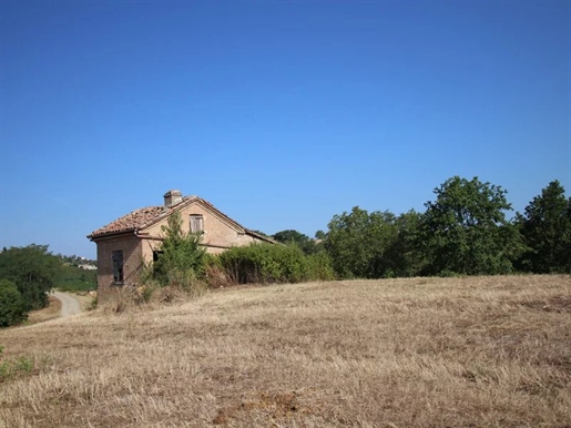 Zwei-Hektar Weinberg in der Gegend von Nizza Monferrato