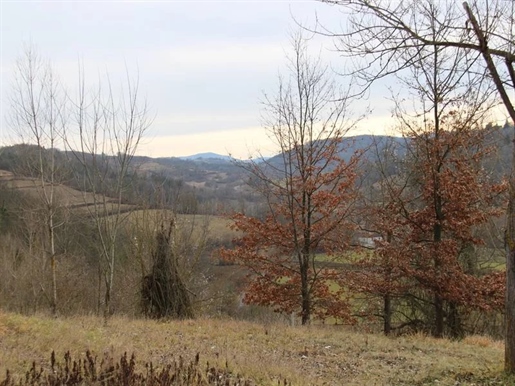7.5 Hectares of Land with a Truffle Plantation and a Building