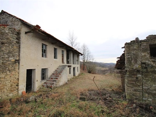 7.5 Hectares of Land with a Truffle Plantation and a Building