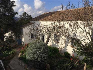 Country home with guesthouse and lake views close to Gibraltar and beaches!