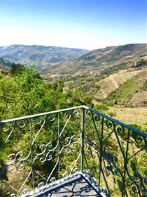 Villa in Douro Valley 