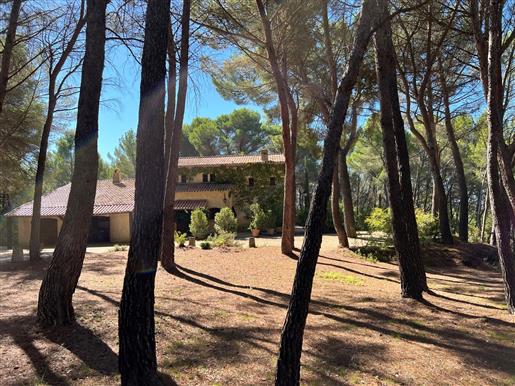 Property for sale close to Aix en Provence with 2.5 hectares pine trees land in a quiet area 