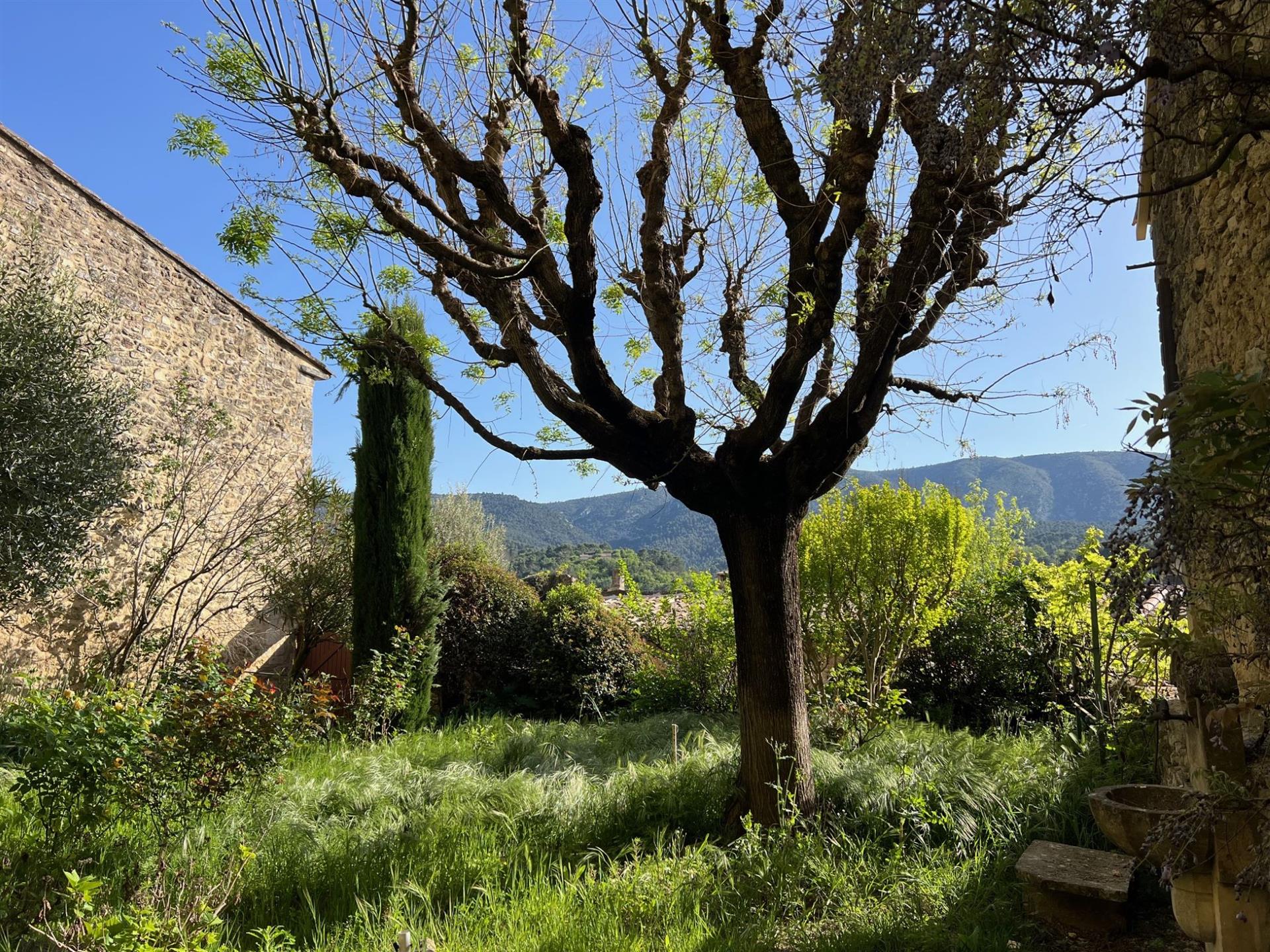 Maison de charme à vendre à Ménerbes avec un jardin, un garage et une superbe vue sur le Mont Ventou