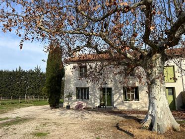 Reitgrundstück zum Verkauf zwischen Avignon und Saint Rémy de Provence mit 2 Hektar Paddocks, han