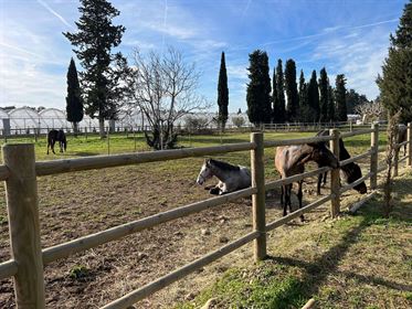 Equestrian property for sale between Avignon and Saint Rémy de Provence with 2 hectares of paddocks,