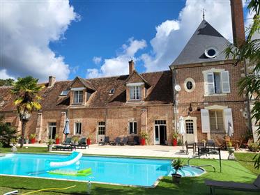 A wing of castle for sale in Sologne in a planted park with a private garden and heated swimming poo