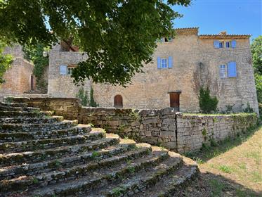 Character Bastide for sale in the Luberon with 350 trffle oak trees