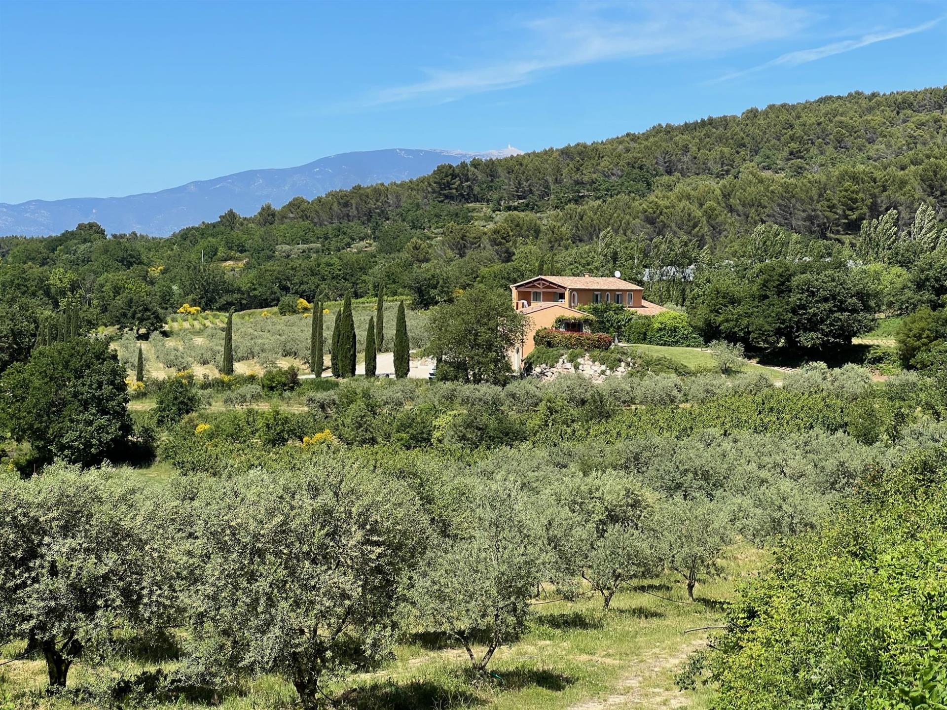 Olive and vine estate for sale in Pernes les Fontaines wis a farmhouse and 3 cottages with a panoram
