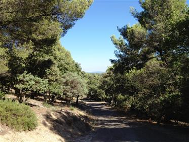Hunting domain for sale in the Luberon with 314 hectares land