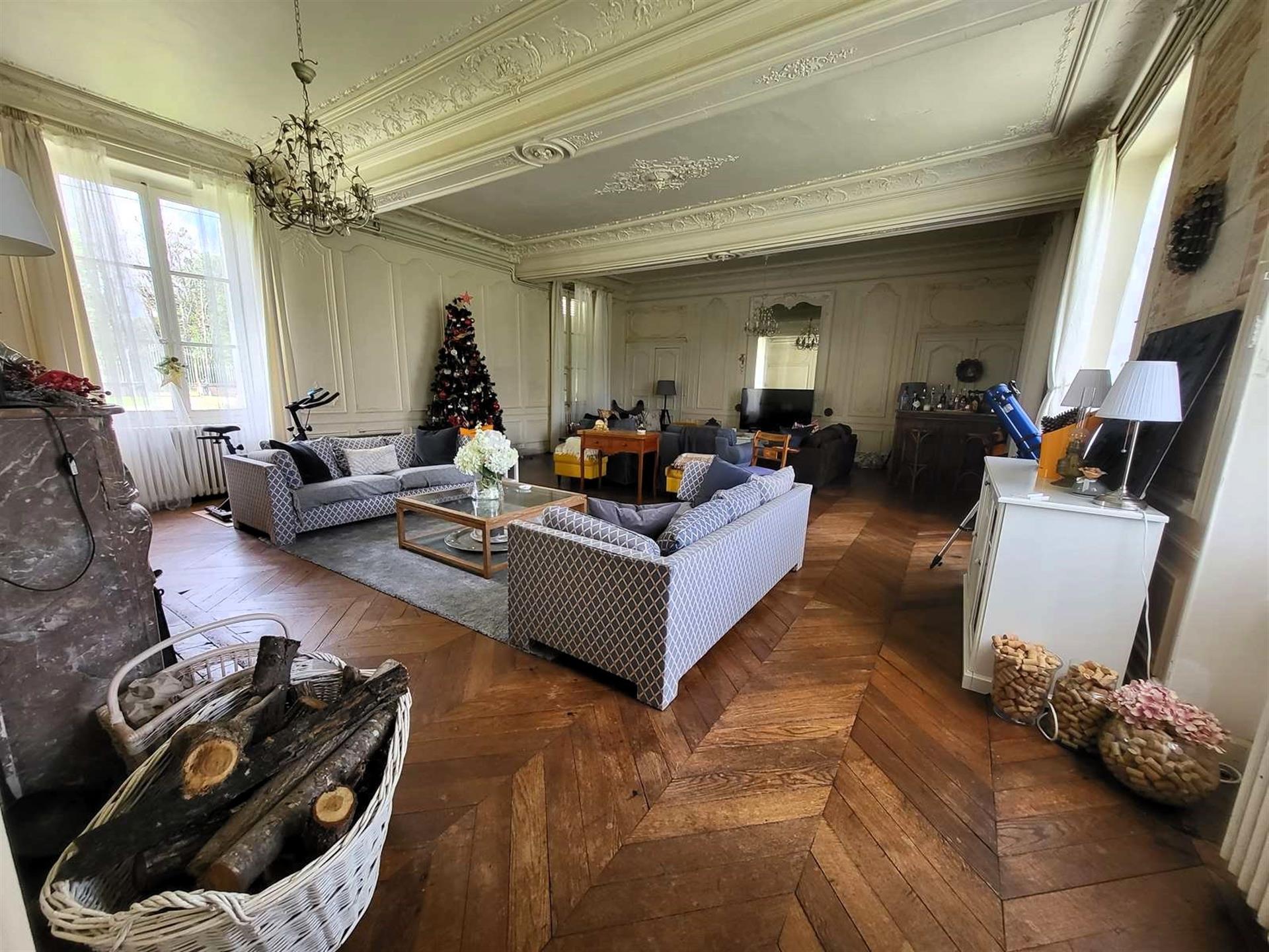 Appartement à vendre en Sologne dans un château du 17ème siècle avec son parc arboré de 23.5 hectare