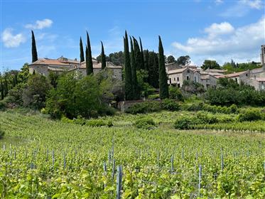 Schloss zu verkaufen in der Ardèche Provençale mit Panoramablick