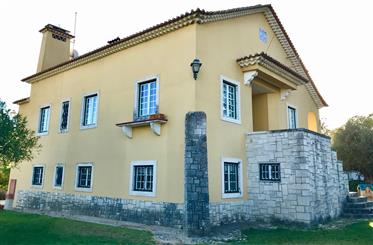 Guest House, Agriturismo e country house