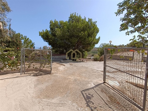 Schöne Finca in Guardamar del Segura mit fast 10 000 qm Grundstück