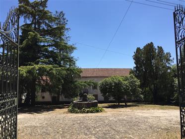 Quinta Das Palmeiras (Manor House)