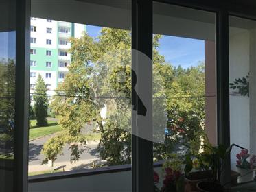 Economico e carino appartamento in Cechia Occidentale