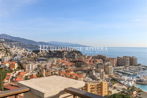 Appartement met uitzicht over Monaco